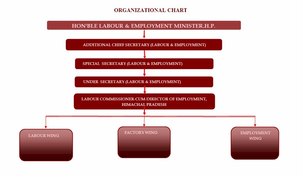 Organisational Chart (JPG, 77 KB)
