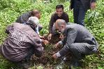 Plantation by H.P. State Legal Services Authority