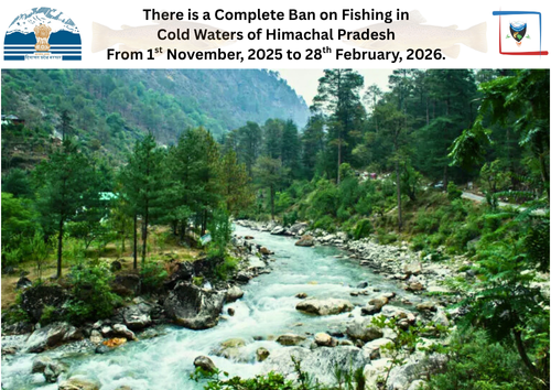 /ControlsAsync/ViewFTPFile?qs=KI3gZ53zz1yqwaw%2FzahTR7mM7vLrEi5Ww64ApY1lyvxtiIkn%2FO2Fvm2TK8eLYiaPTxJaTMMHJDI2hPKLe8kW%2Fg%3D%3D