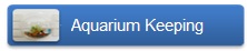 Aquarium Keeping