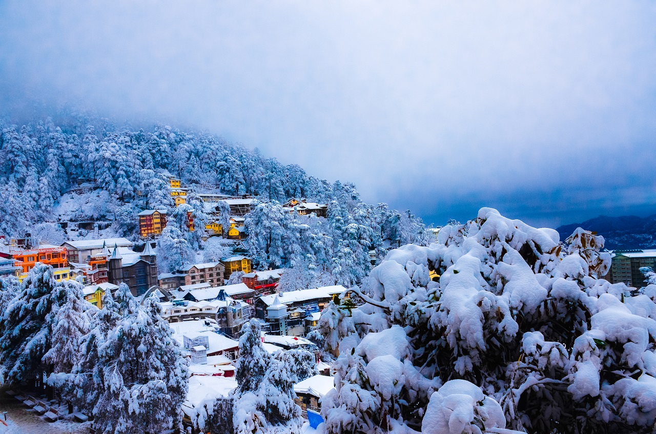 Glimpse of Shimla In Winters