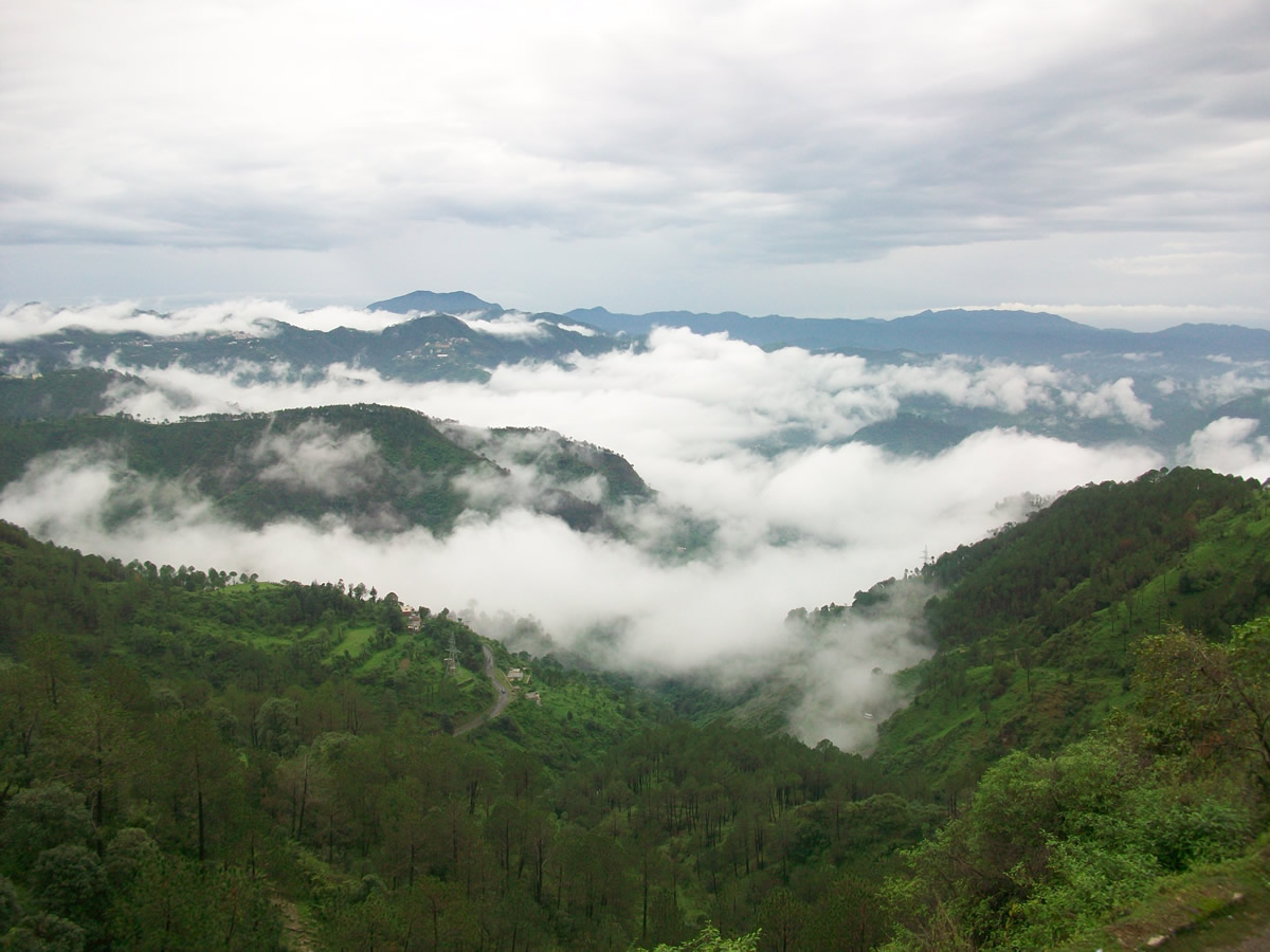 FOGGY VIEW OF SHIMLA HILLS
