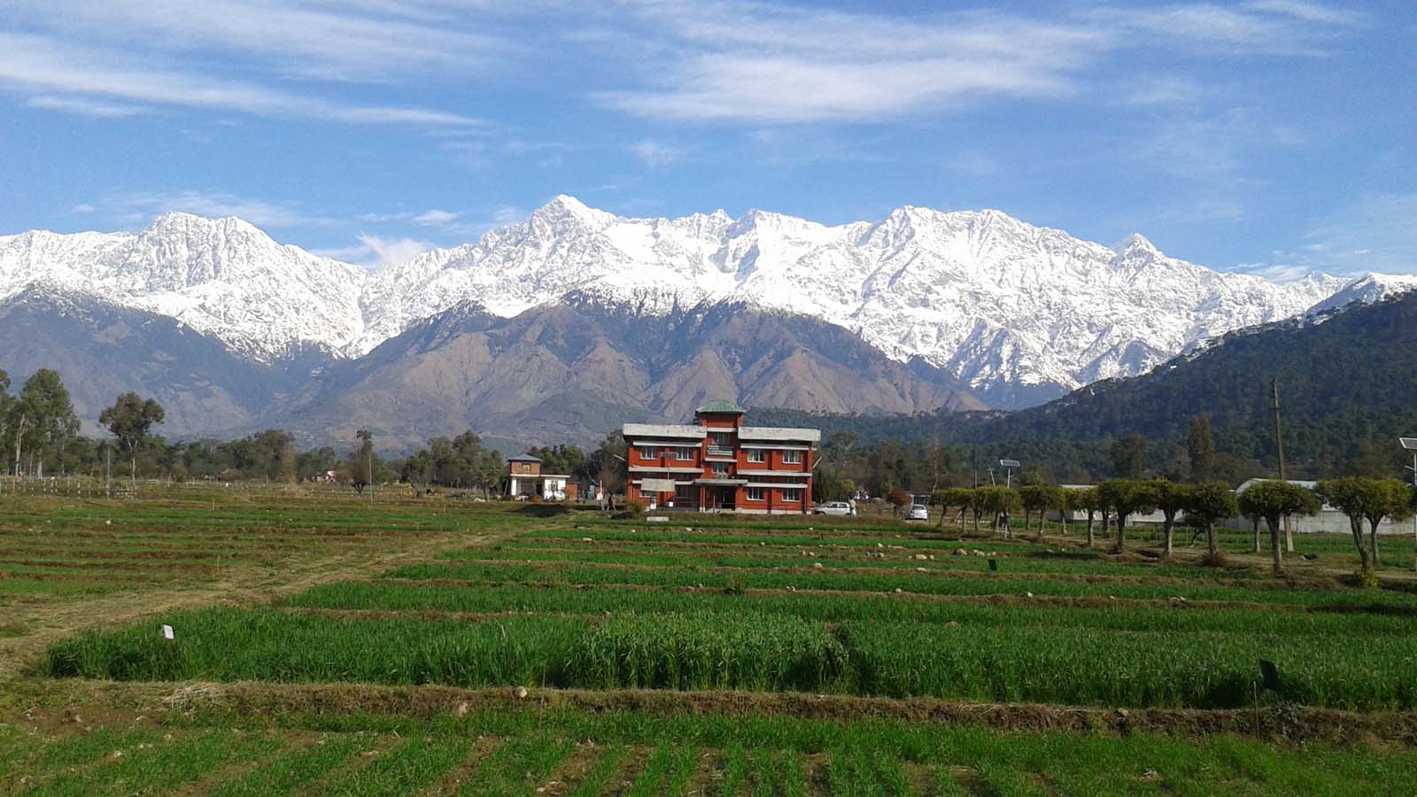 SNOW COVERED DHAULADHAR - A SCENIC BEAUTY OF KANGRA VALLEY