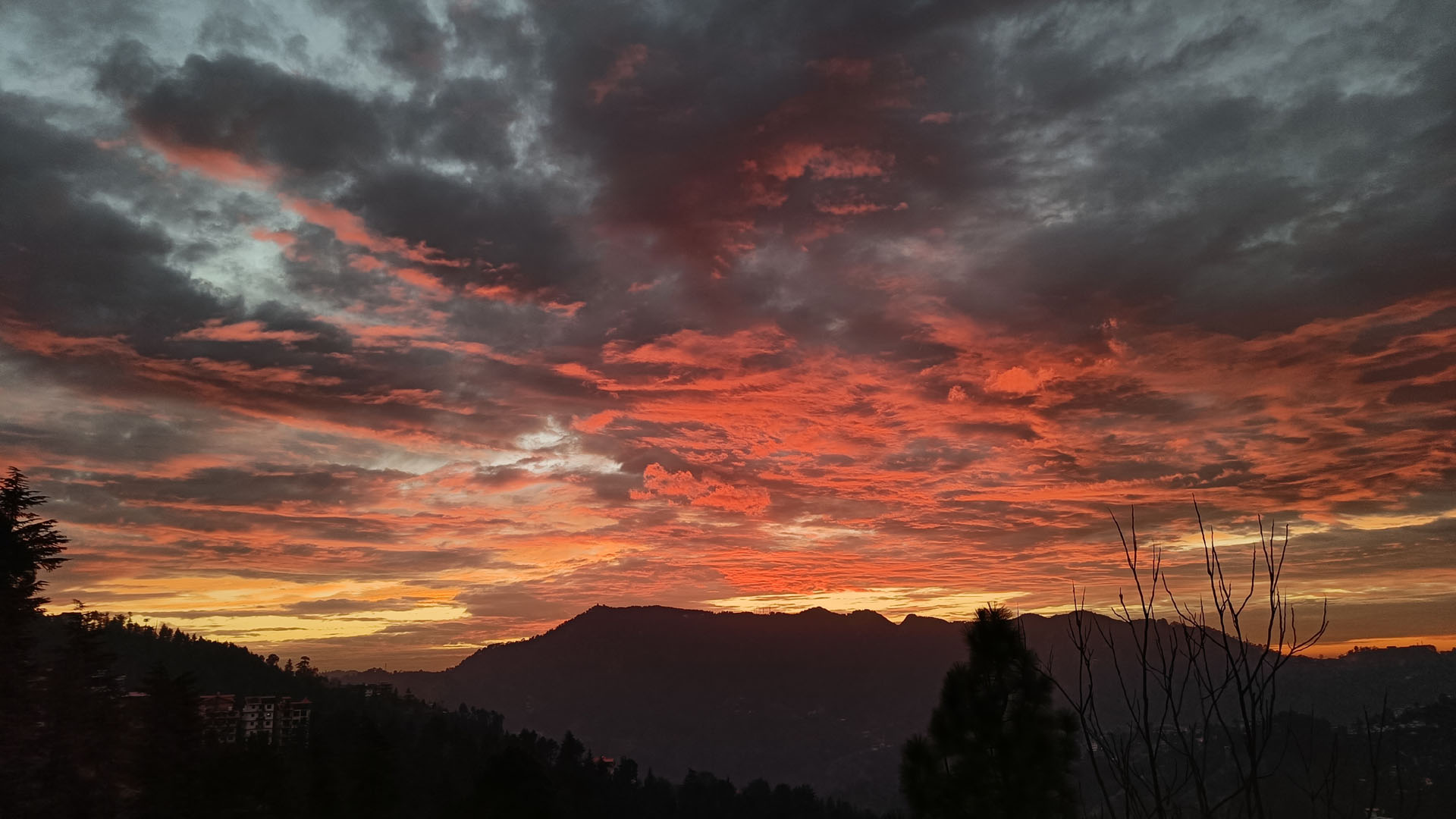 Red Clouds TaraDevi Panthaghati - Shimla