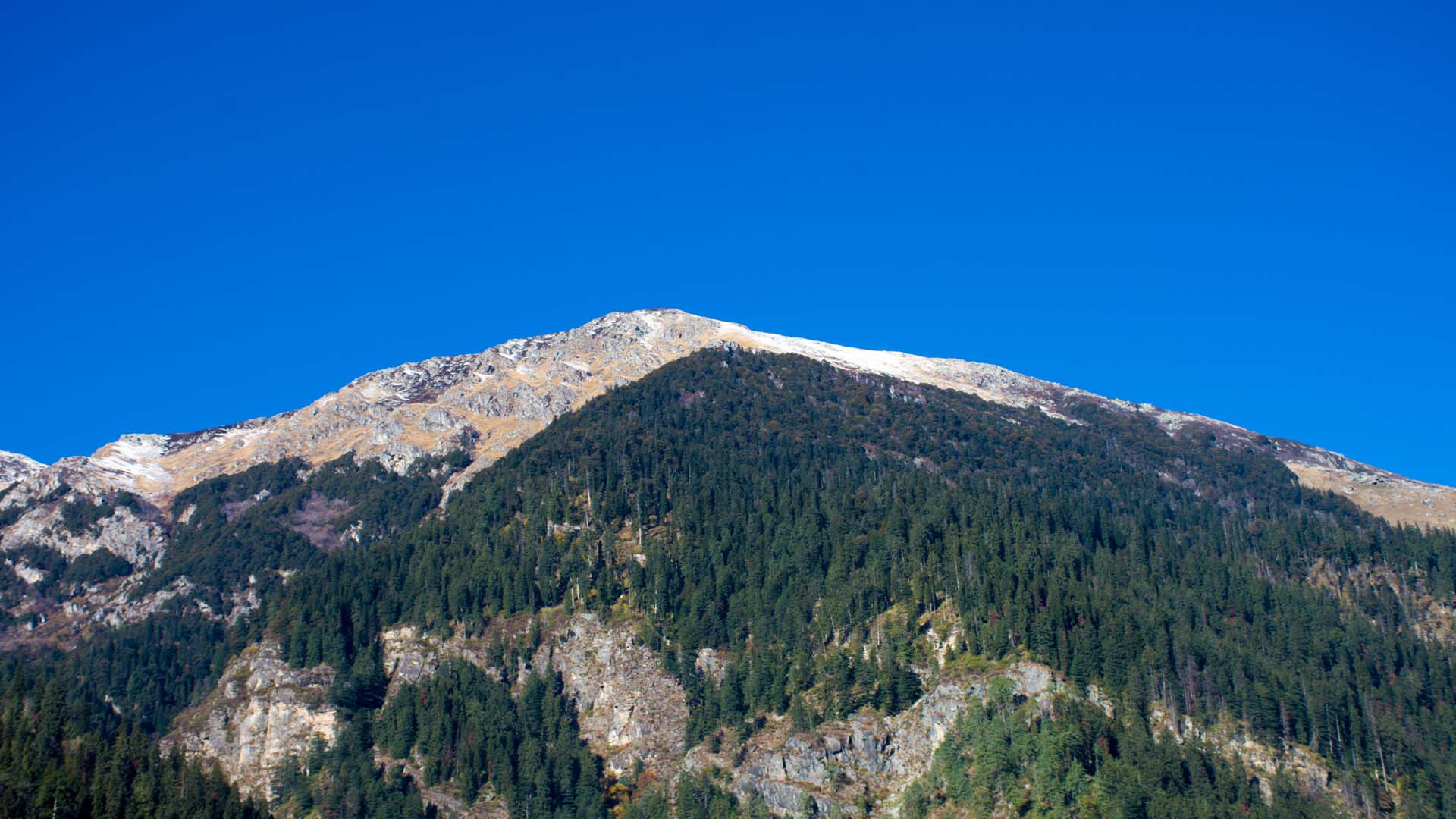 BAGHA SARAHAN, NEAR RAMPUR