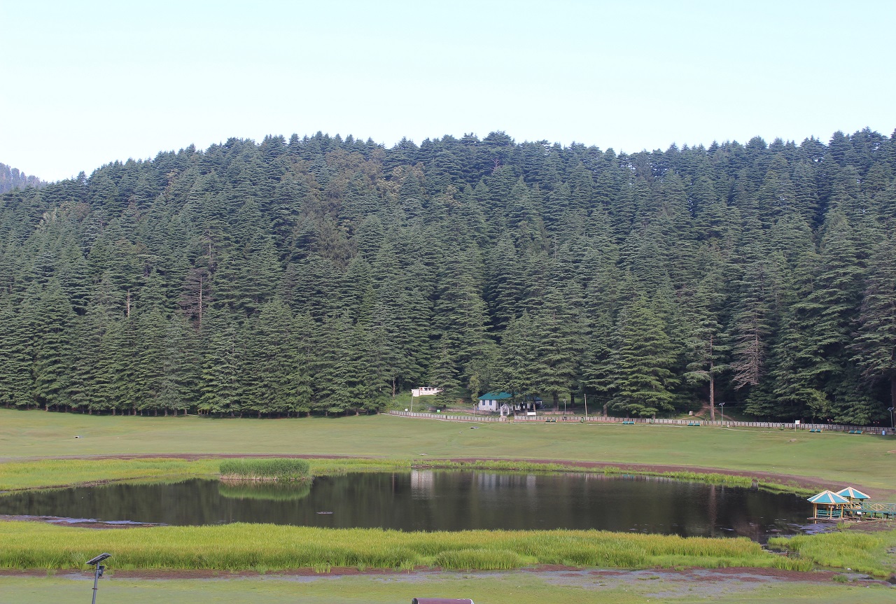 Morning View Of Khajiar