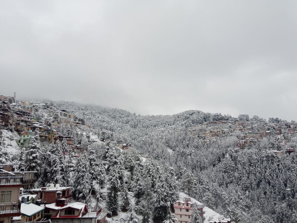 SNOW COVERED LIFE BETWEEN MOUNTAINS, SHIMLA