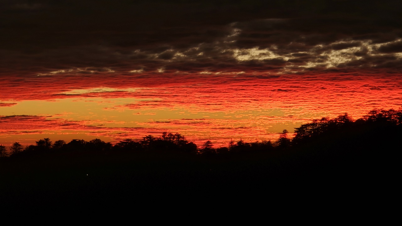 Soaking in the color of the Sunset