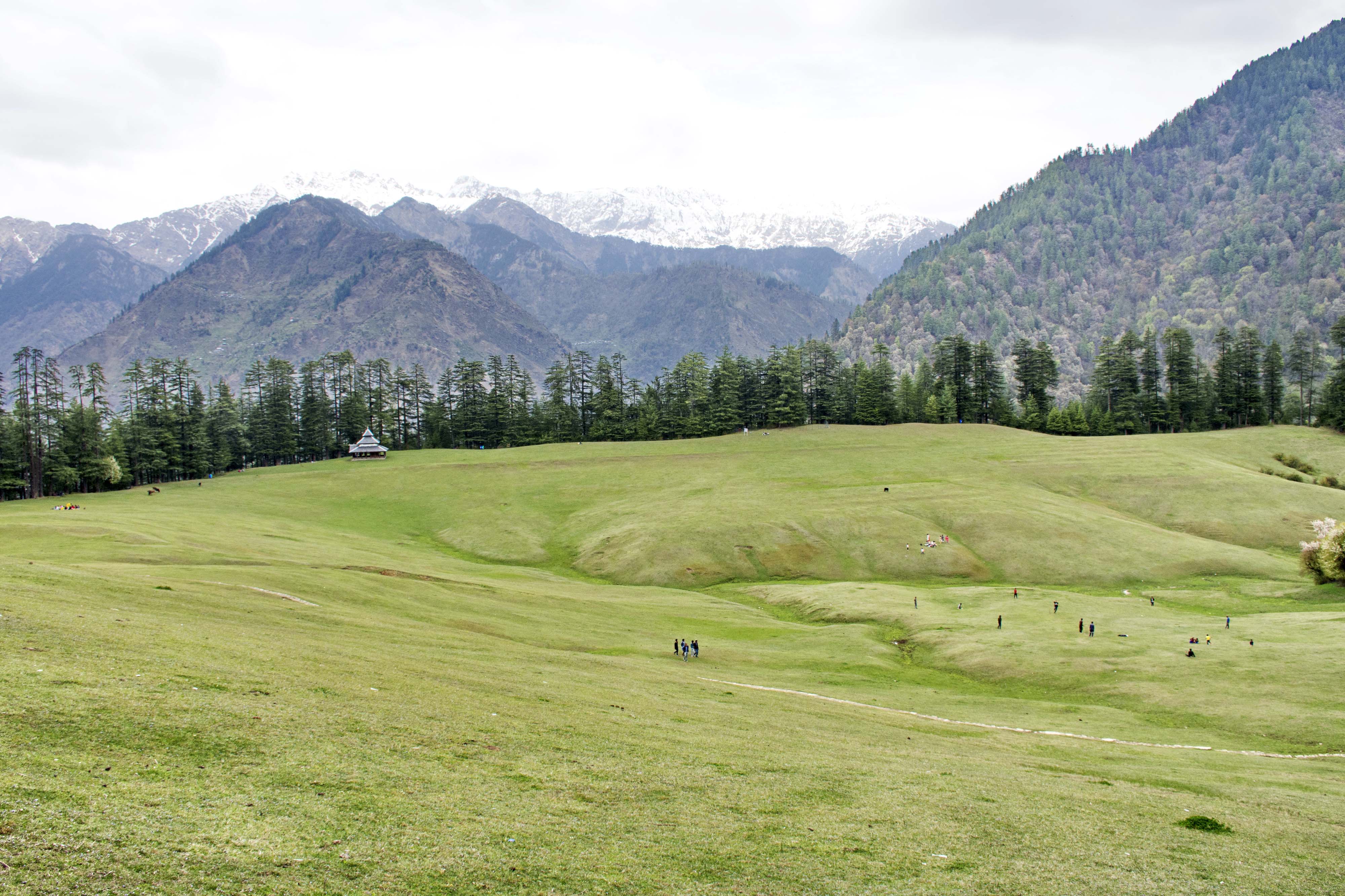 SHANGARH IN SAINJ VALLEY