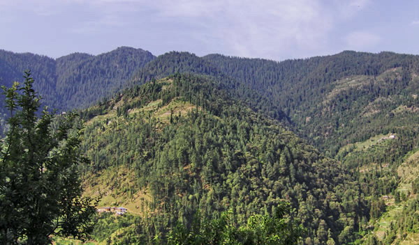 A SCENIC VIEW ON THE WAY TO CHURDHAR FROM PULBAHAL, SIRMOUR