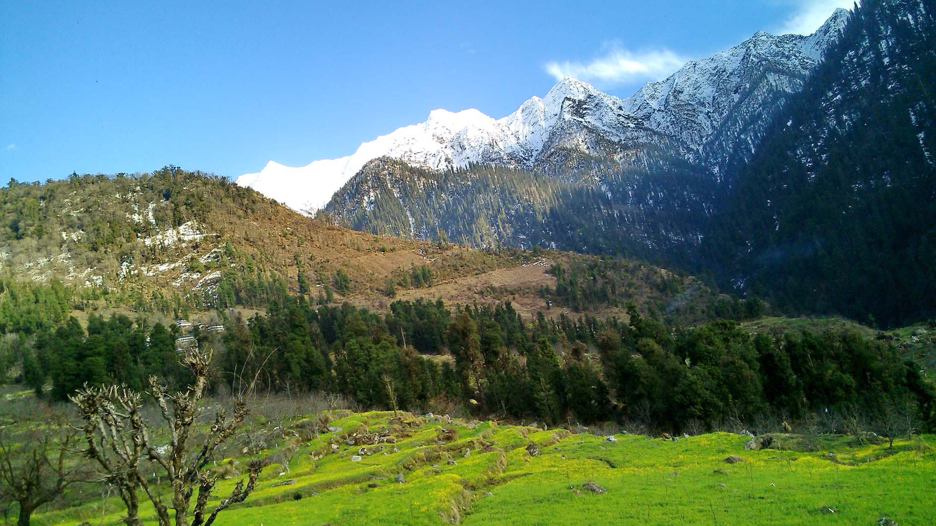 GREEN FIELDS AND SNOWY HILLS NEAR DARKALI VILLAGE, SHIMLA