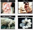 Sheep Wool Products