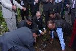 Plantation by H.P. State Legal Services Authority