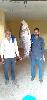 Fish catch in H.P.